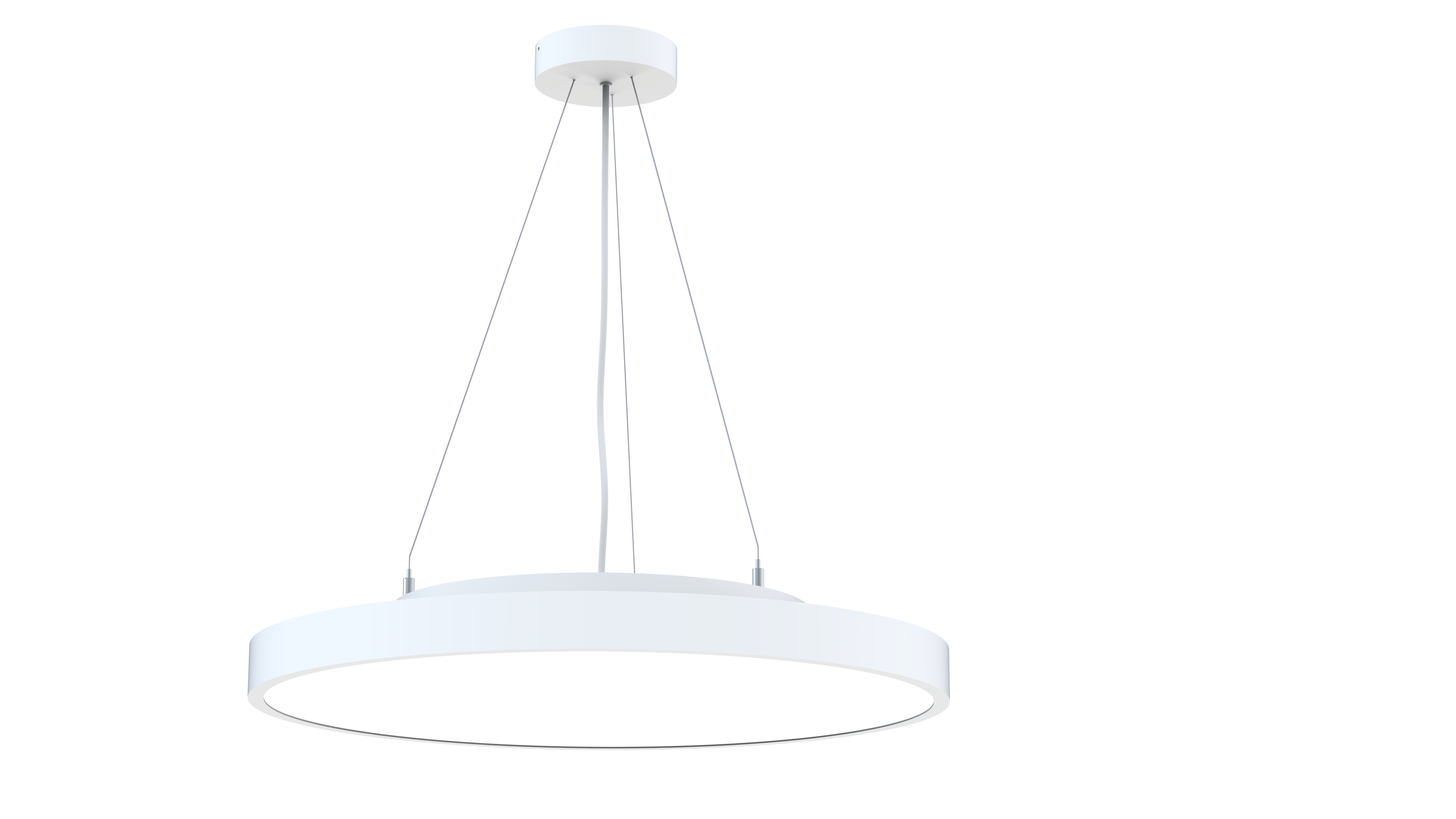 BONI-P Detailansicht