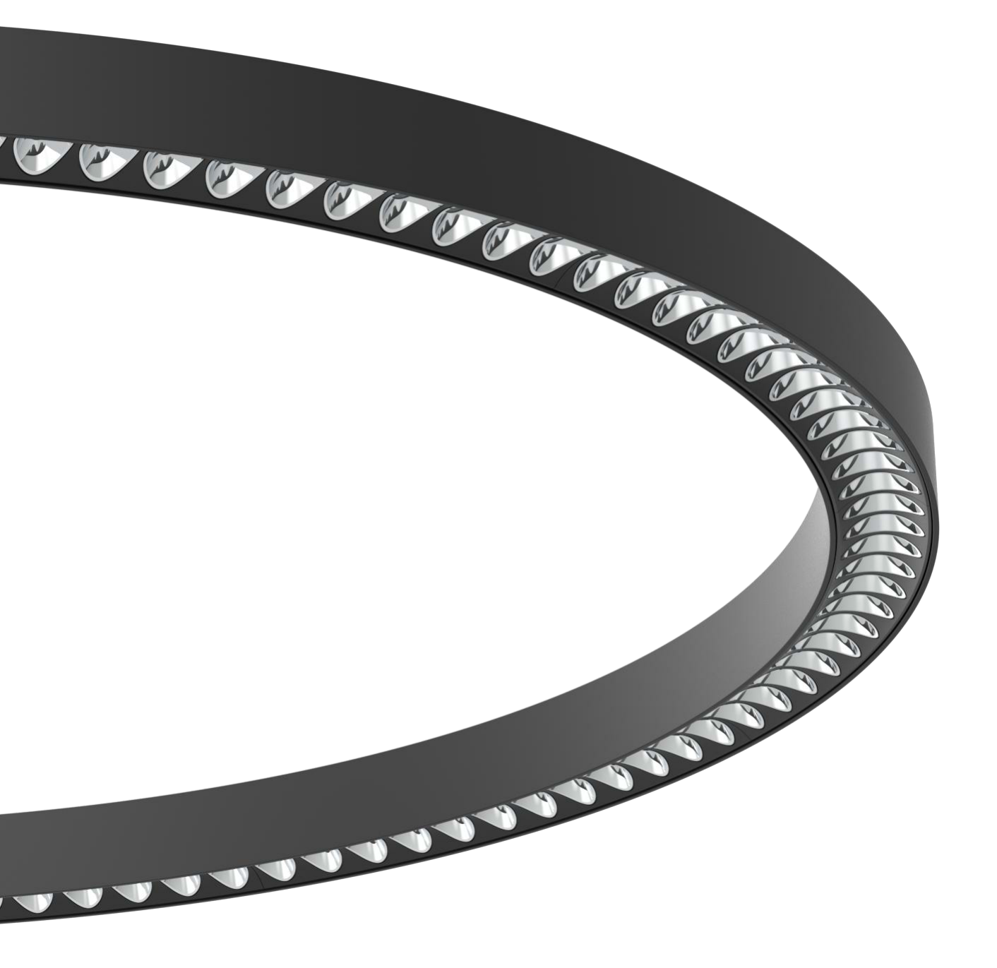 ROMA-P1 Detailansicht