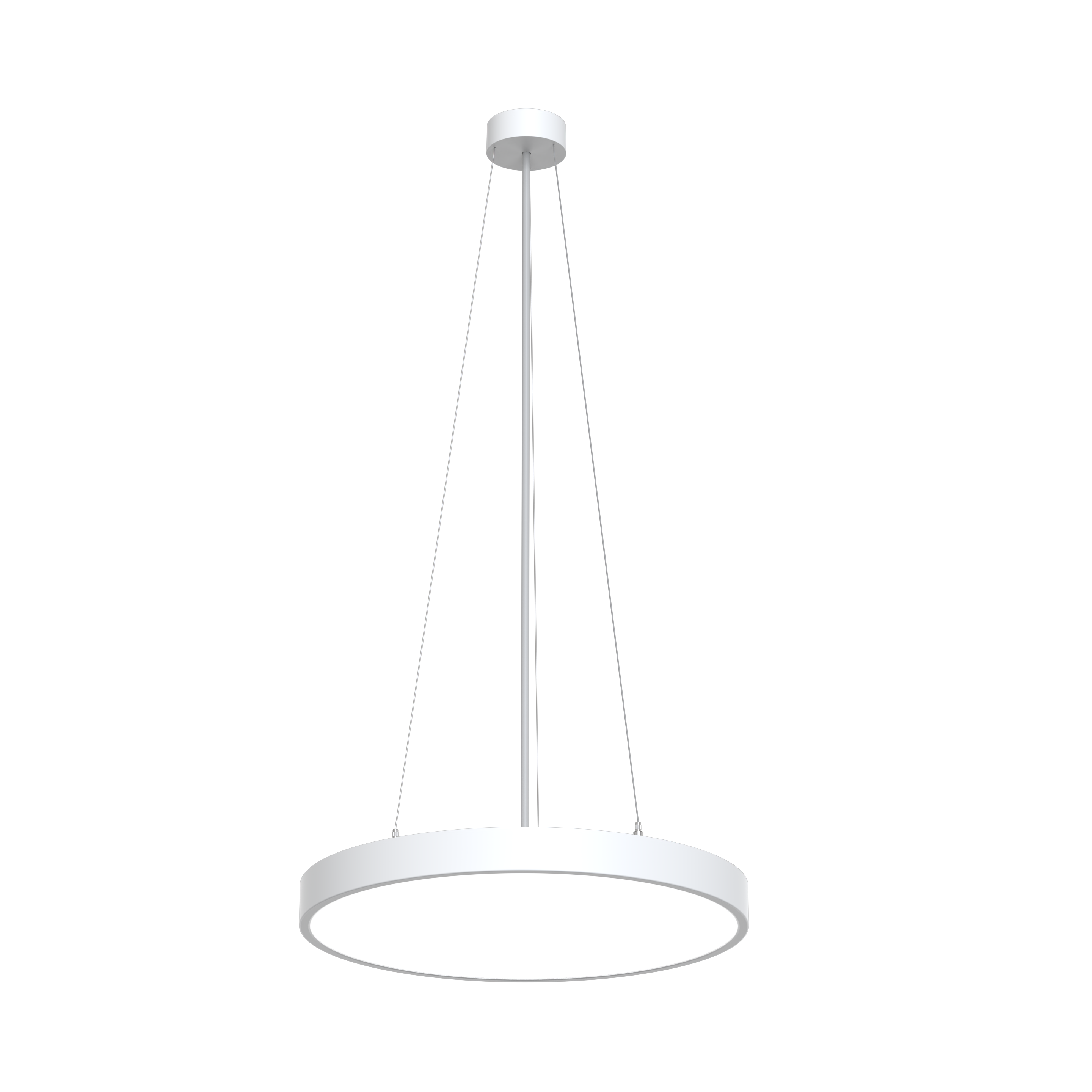 ENZY-P Detailansicht