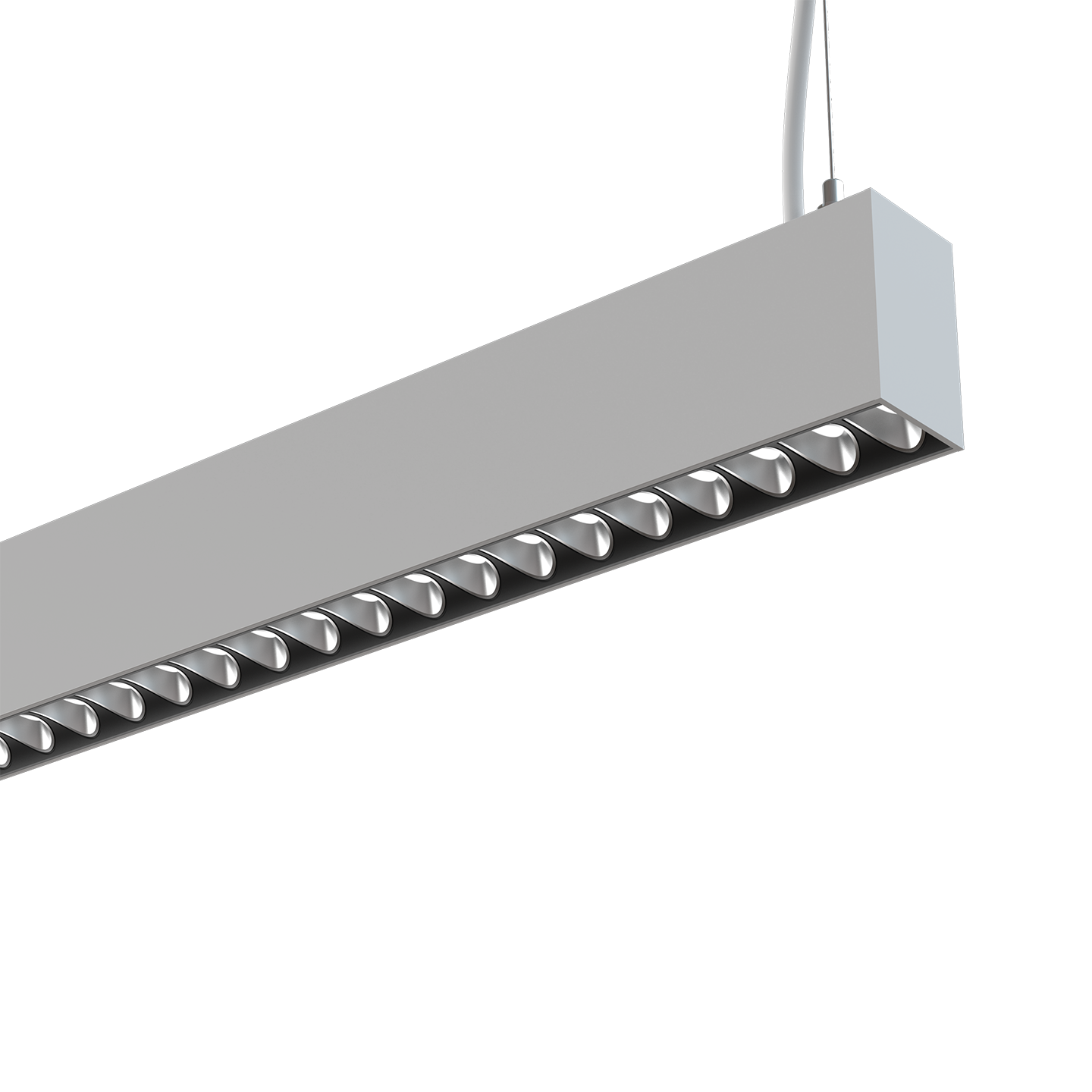 ROMA-P Detailansicht