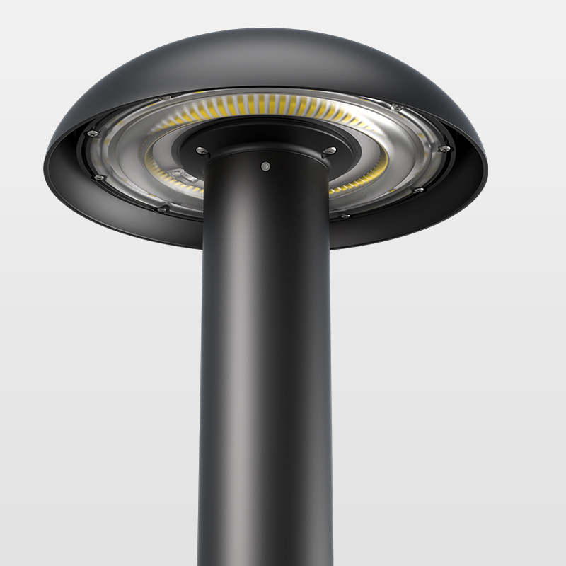 MUSHROOM-60 Detailansicht